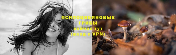 гидропоника Баксан