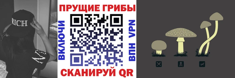 Псилоцибиновые грибы Psilocybine cubensis Ивангород