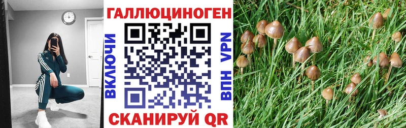 купить наркотики сайты  дарк нет официальный сайт  Галлюциногенные грибы Cubensis  Ивангород 